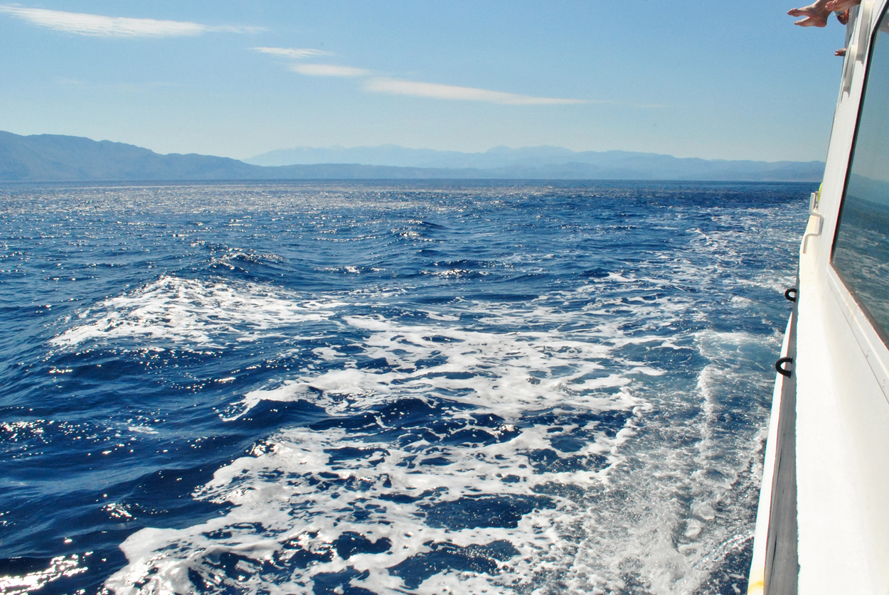 yacht running picture