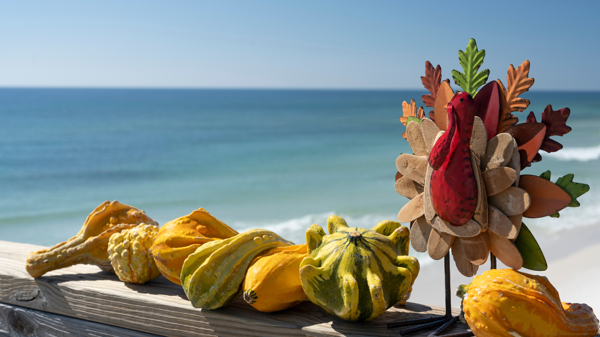 Thanksgiving in Paradise: A Feast in the Abacos